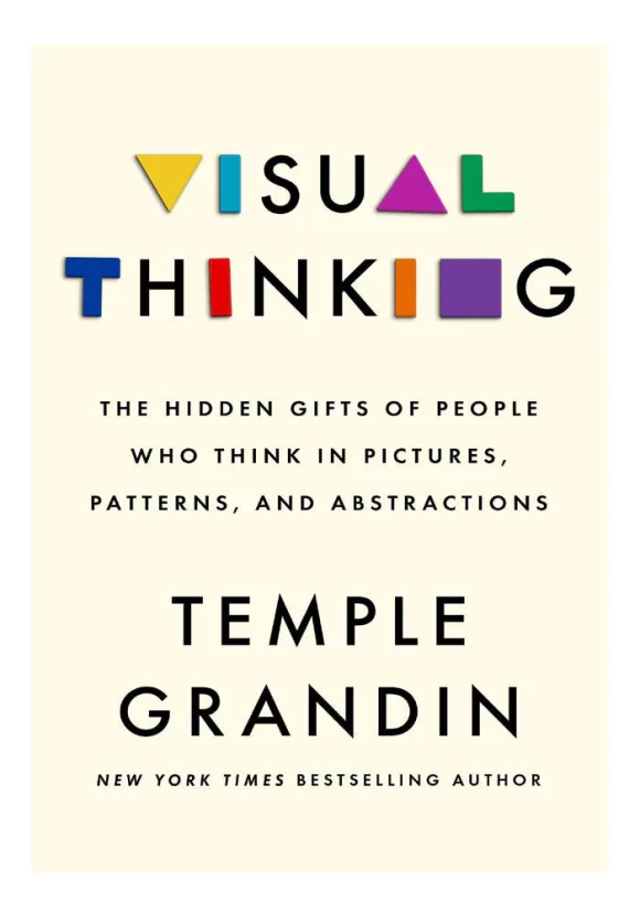 Visual Thinking