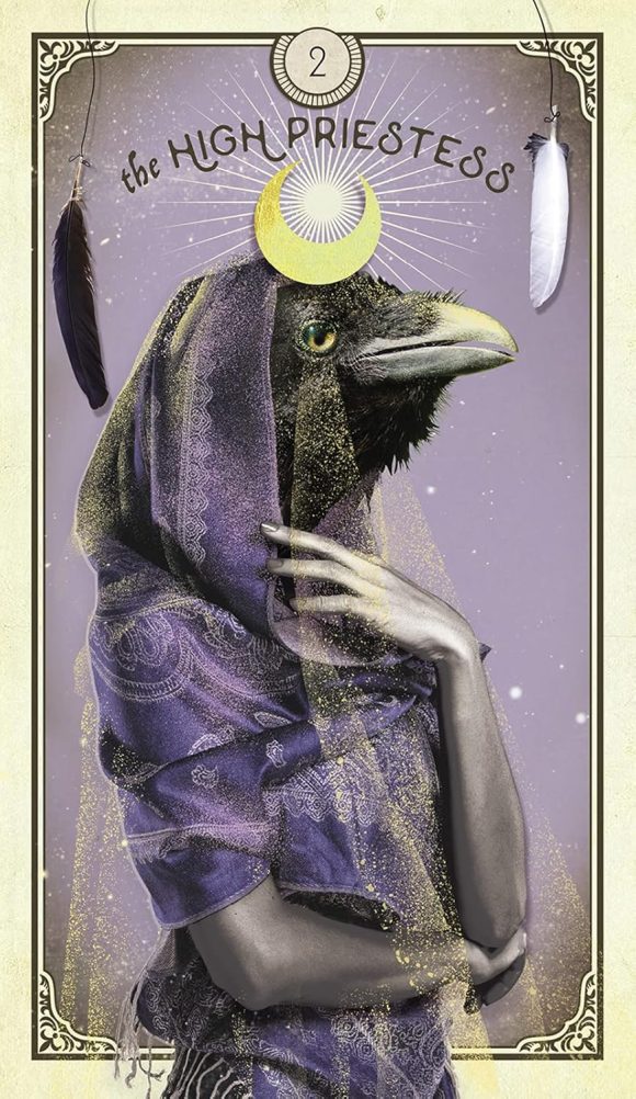 The Tarot of Curious Creatures: A 78 (+1) Card Deck and Guidebook - Image 3